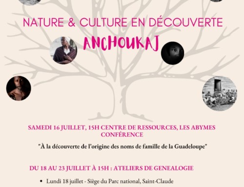 A la recherche des ancêtres oubliés : ateliers d’Anchoukaj en Guadeloupe du 18 au 22 juillet 2022