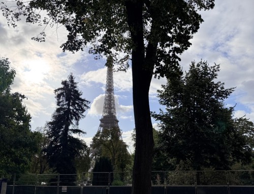 Mémorial national des victimes de l&rsquo;esclavage : le chantier débute au Trocadéro